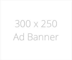300x250-white